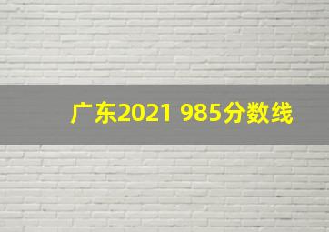 广东2021 985分数线